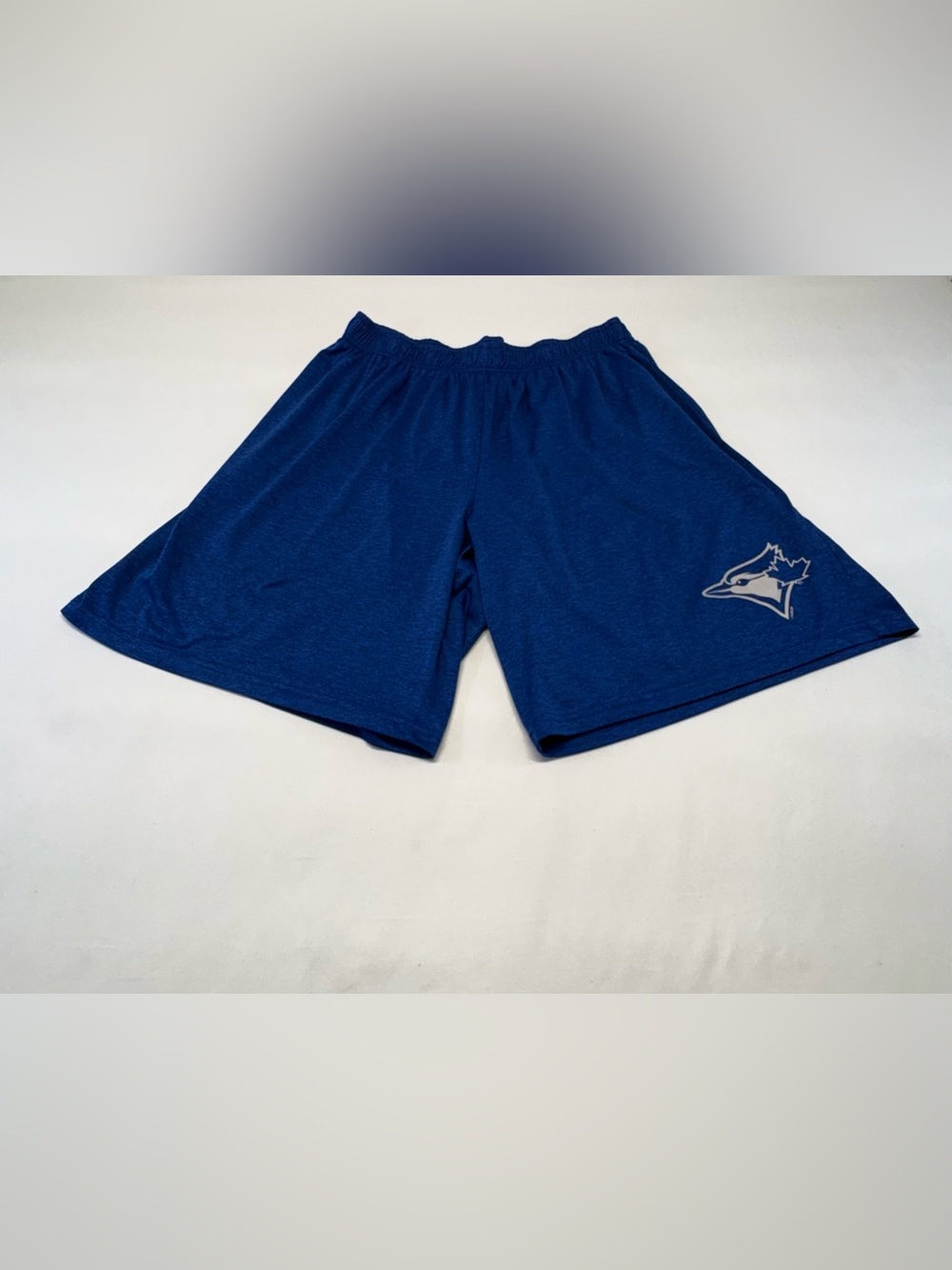 Toronto Blue Jays Blue Athletic Shorts - Men’s Size L (See Measurements)